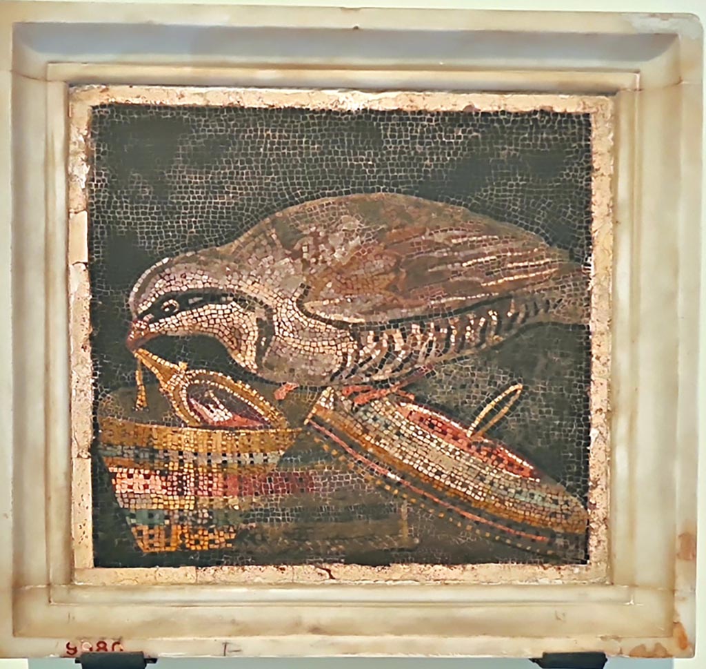 VI.11.10 Pompeii. Found in room 45, small room on right side of room 43, on 10th September 1835. Mosaic of partridge stealing a mirror.
Now in Naples Archaeological Museum, inventory number 9980.
According to the information card –
Partridge on a basket with mirror.
Mosaic emblema in opus vermiculatum made from polychrome tesserae. A partridge is depicted against a black background.
The bird is shown lifting a mirror from a lidless basket by pulling it by its handle; the theme is inspired by a Hellenistic prototype by Sosus of Pergamon. (First half of the 1st century BC.)
(Pernice su cesto con specchio.
Emblema pavimentale in opus vermiculatum d tessere policrome.
Su un fondo nero è raffigurata una pernice che solleva, da un cestino scoperchiato, uno specchio, tirandolo su per il manico; il soggetto è ispirato a un prototipo ellenistico di Sosos di Pergamo. Prima meta del I secolo a.C.)
Photo courtesy of Giuseppe Ciaramella. September 2024.