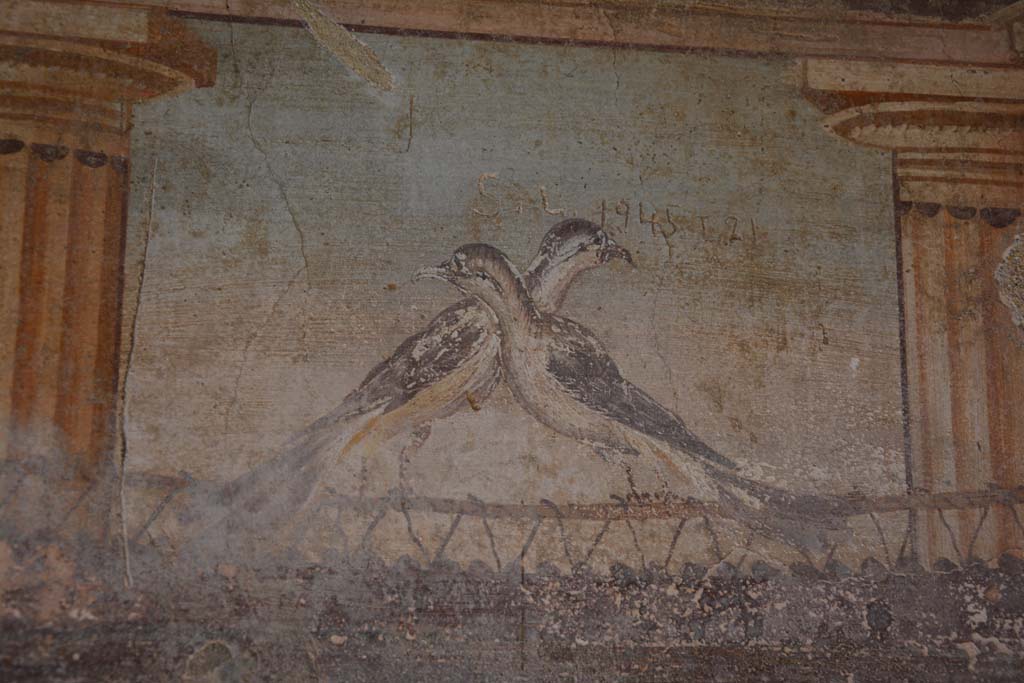 VI.11.10 Pompeii. November 2017. Room 46, detail of painted birds from upper west wall.
Foto Annette Haug, ERC Grant 681269 DÉCOR
