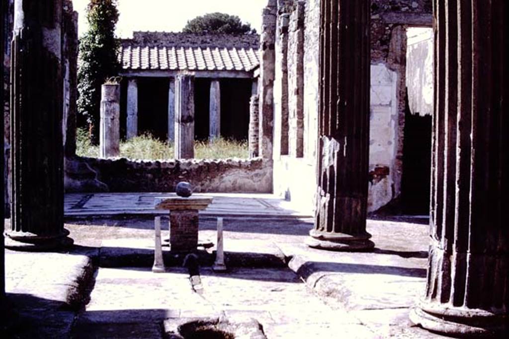 VI.11.10 Pompeii, 1978. Looking north across impluvium in atrium towards tablinum and peristyle. Photo by Stanley A. Jashemski.
Source: The Wilhelmina and Stanley A. Jashemski archive in the University of Maryland Library, Special Collections (See collection page) and made available under the Creative Commons Attribution-Non Commercial License v.4. See Licence and use details. J78f0185