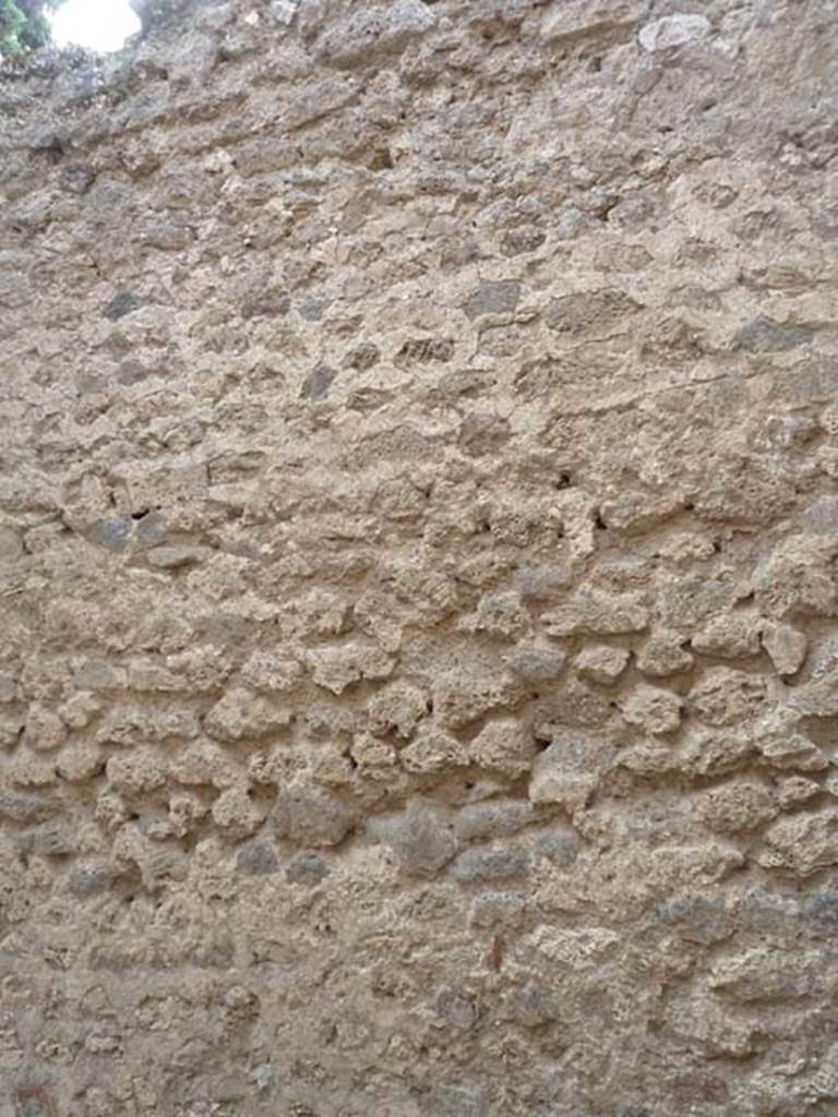 VI.12.2 Pompeii. September 2015. West wall of room in north-east corner of rear peristyle.