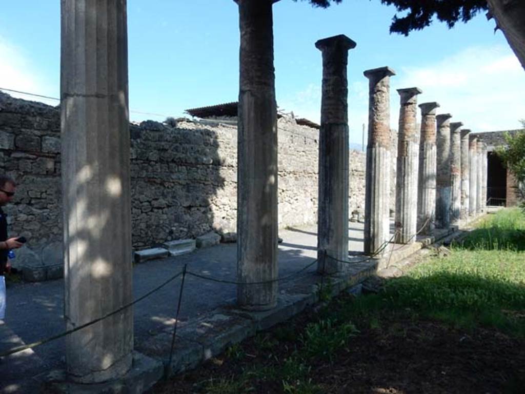 VI.12.2 Pompeii. May 2015. Looking south along the east portico, from the north-east corner of rear peristyle. Photo courtesy of Buzz Ferebee.