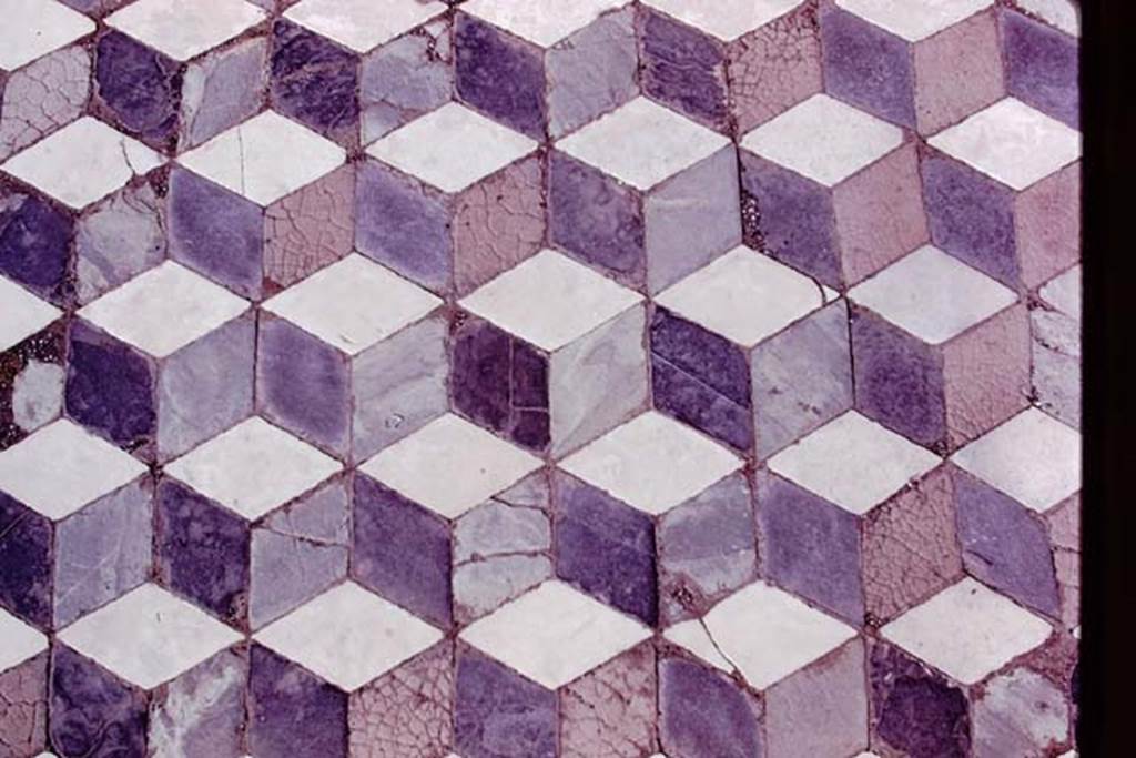 VII.7.5 Pompeii, 1978. Detail of a ‘cubed’ opus sectile floor, exact location not known. A similar floor exists in the Temple cella of VII.7.32.
Photo by Stanley A. Jashemski.
Source: The Wilhelmina and Stanley A. Jashemski archive in the University of Maryland Library, Special Collections (See collection page) and made available under the Creative Commons Attribution-Non-Commercial License v.4. See Licence and use details.
J78f0217