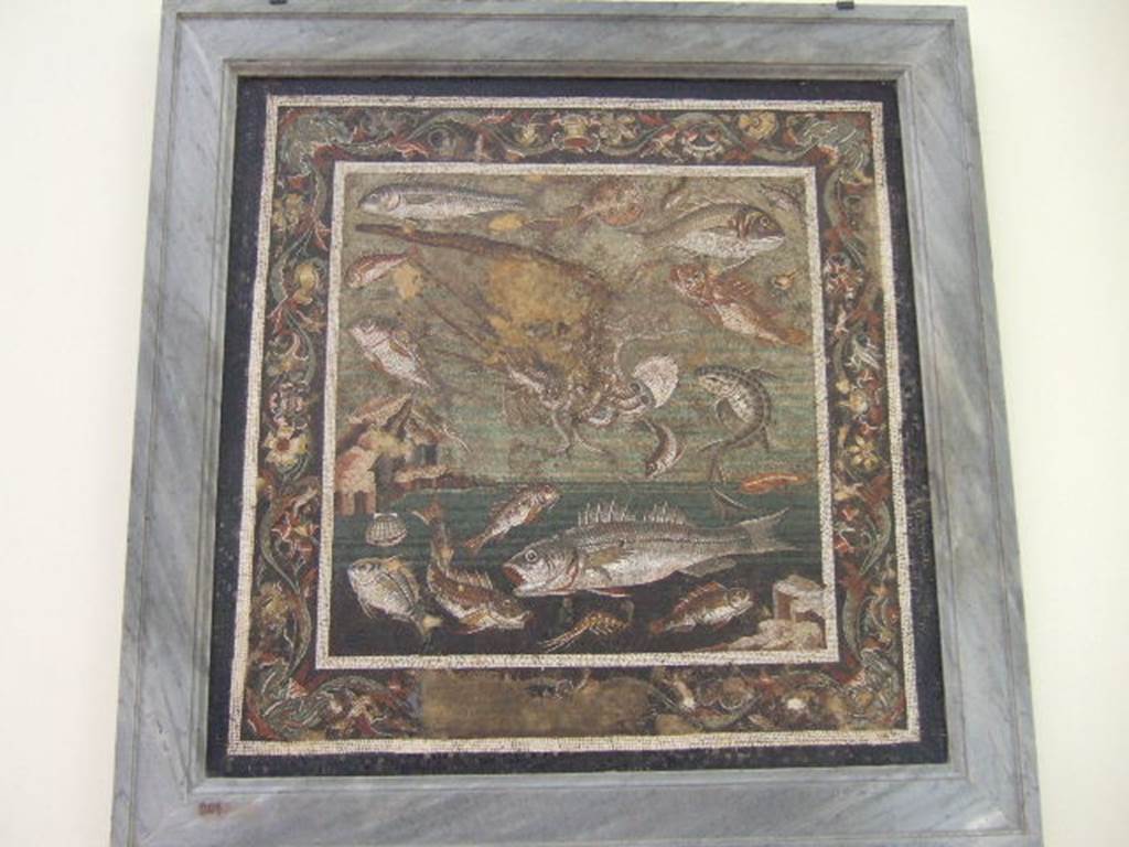 VI.12.2 Pompeii. Found in the other of the two dining rooms at the side of the tablinum. Floor Mosaic of fishes and marine life. Now in Naples Archaeological Museum. Inventory number 9997. See Mau, A., 1907, translated by Kelsey F. W. Pompeii: Its Life and Art. New York: Macmillan. (p.292-3). Found 1st November 1830, see PAH II, 241.