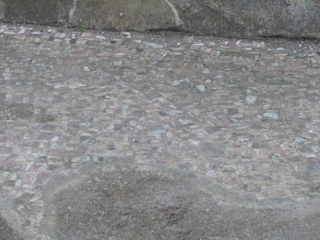 VI.12.2 Pompeii. September 2015. Detail from floor of second room on west side of atrium.