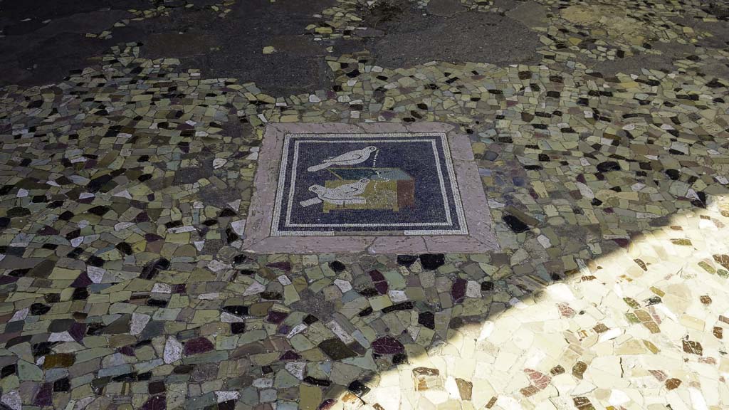VI.12.2 Pompeii. August 2021.
Floor of ala 29 on west side of atrium. Mosaic picture of doves pulling a necklace from a jewellery box. Photo courtesy of Robert Hanson.