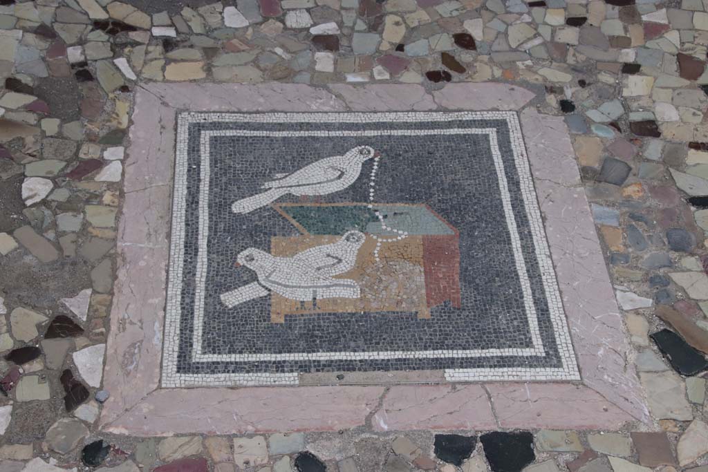 VI.12.2 Pompeii. September 2021. Central emblema in floor of ala 29 on west side of atrium.
Detail of mosaic picture of doves pulling a necklace from a jewellery box. Photo courtesy of Klaus Heese.