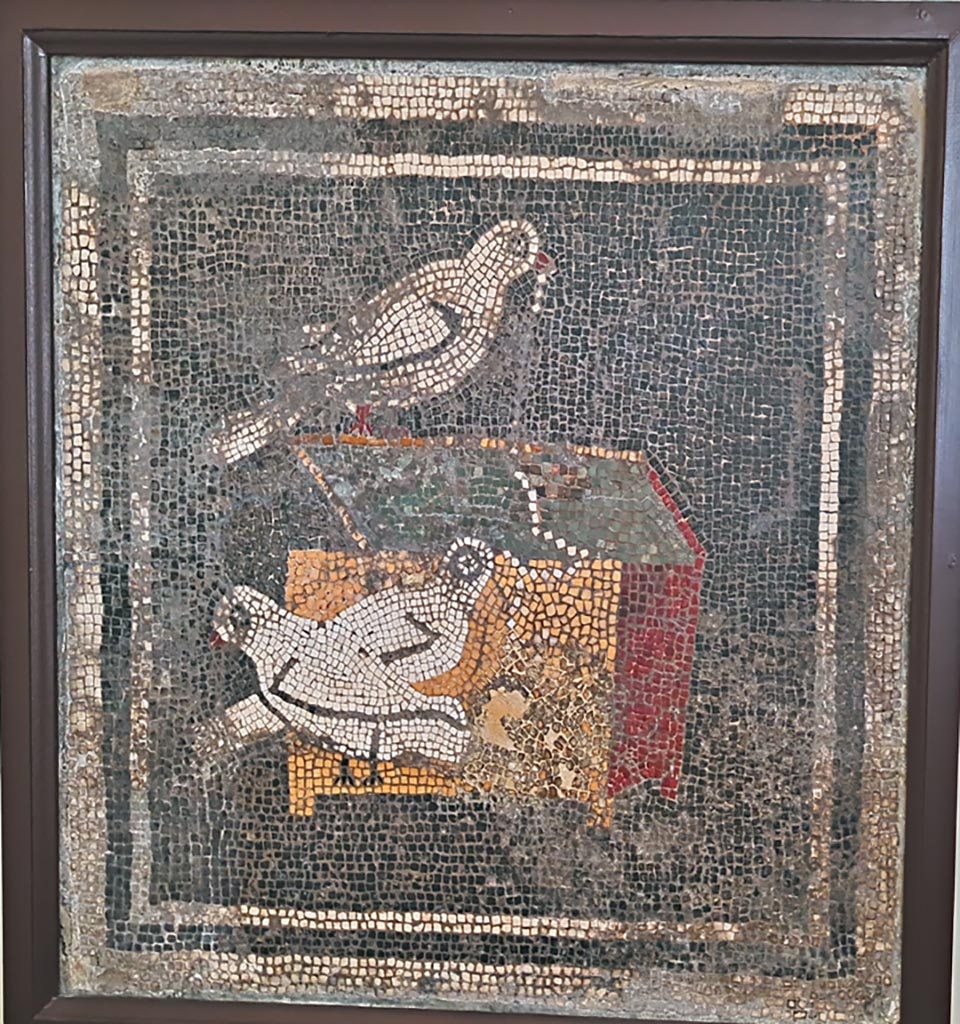 VI.12.2 Pompeii. September 2024. Original doves mosaic found in ala 29 on west side of atrium.
Now in Naples Archaeological Museum. Inventory number s. n. This was found 1st December 1830 in ala 29.
Photo courtesy of Giuseppe Ciaramella.