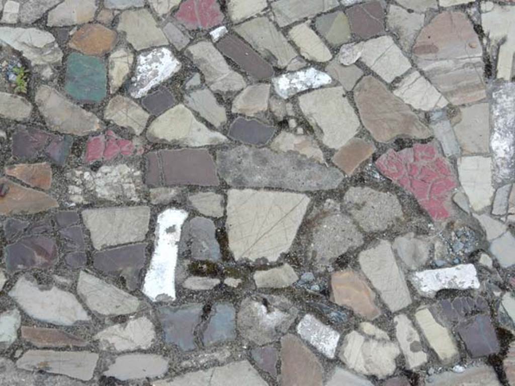 VI.12.2 Pompeii. May 2015. Detail of floor of ala on west side of atrium. Photo courtesy of Buzz Ferebee.