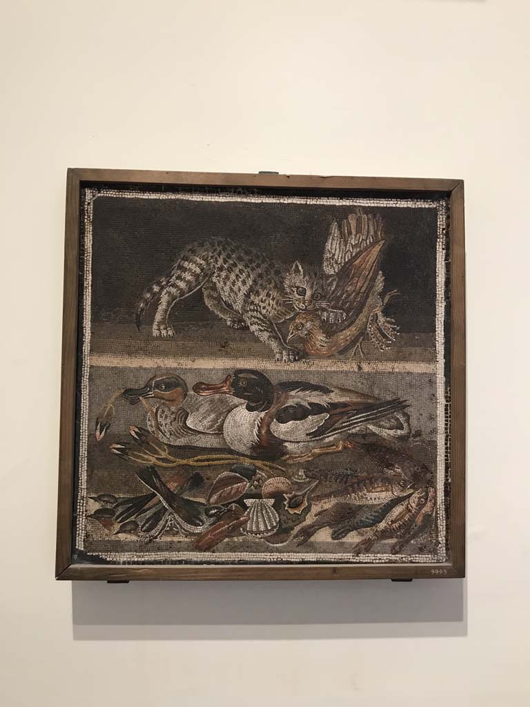 VI.12.2 Pompeii. April 2019.
Original mosaic emblema found 1st December 1830 in ala 30 on east side of atrium.
Above is a cat with a partridge, below ducks, fishes and shellfish.
Now in Naples Archaeological Museum. Inventory number 9993. Photo courtesy of Rick Bauer.
See Pagano, M. and Prisciandaro, R., 2006. Studio sulle provenienze degli oggetti rinvenuti negli scavi borbonici del regno di Napoli. Naples: Nicola Longobardi. (p.144)
See Fiorelli G., 1862. Pompeianarum antiquitatum historia, Vol. 2: 1819 - 1860, Naples, p. 242.