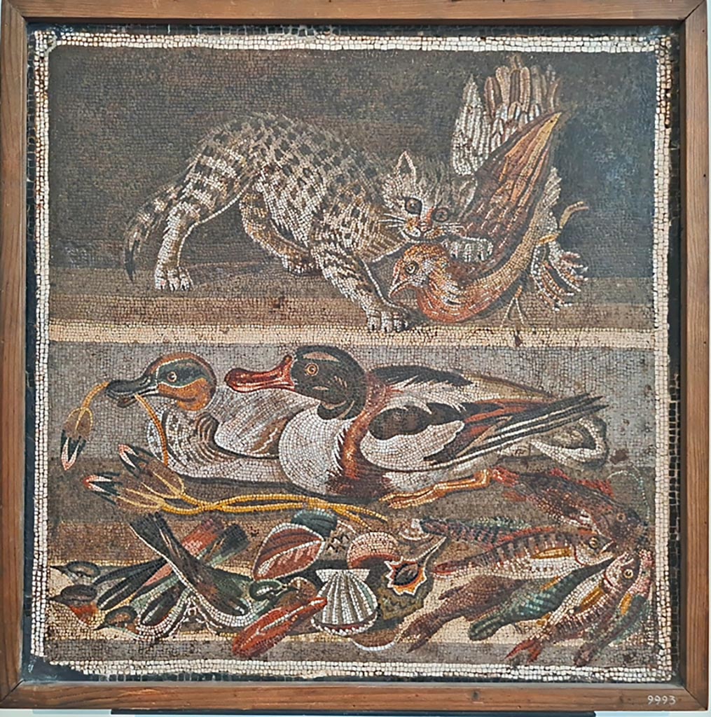 VI.12.2 Pompeii. September 2024. Original mosaic emblema found 1st December 1830 in ala 30 on east side of atrium.
Now in Naples Archaeological Museum. Inventory number 9993. Photo courtesy of Giuseppe Ciaramella.