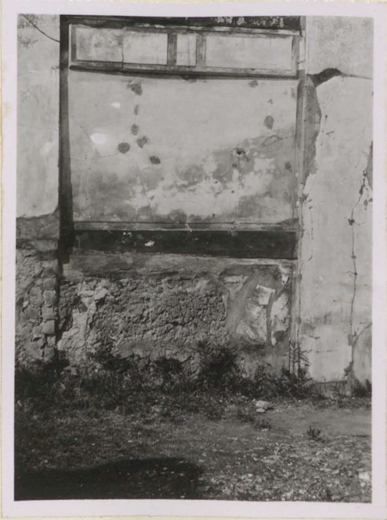 VI.12.2 Pompeii. Pre-1943. Decoration on west wall in south-west corner of middle peristyle/garden.
See Warscher, T. (1946). Casa del Fauno, Swedish Institute, Rome. (p.34, n.47).