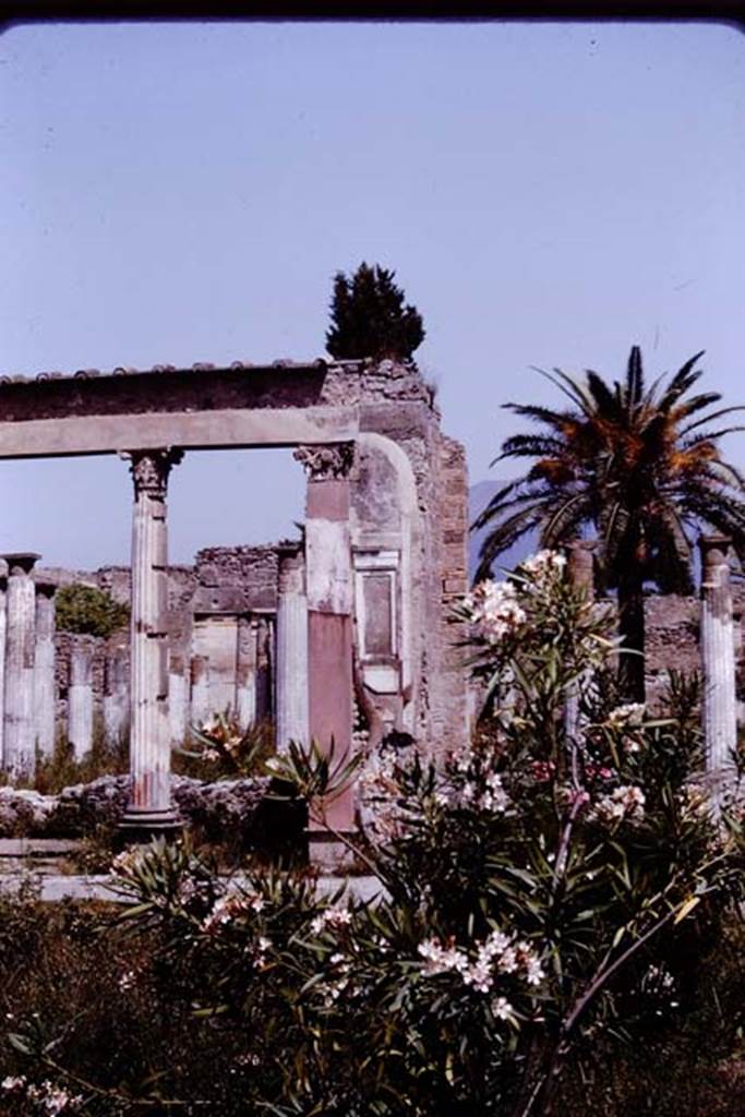 VI.12.2 Pompeii. 1964. Looking north from middle garden towards exedra. Photo by Stanley A. Jashemski.
Source: The Wilhelmina and Stanley A. Jashemski archive in the University of Maryland Library, Special Collections (See collection page) and made available under the Creative Commons Attribution-Non Commercial License v.4. See Licence and use details.
J64f1084