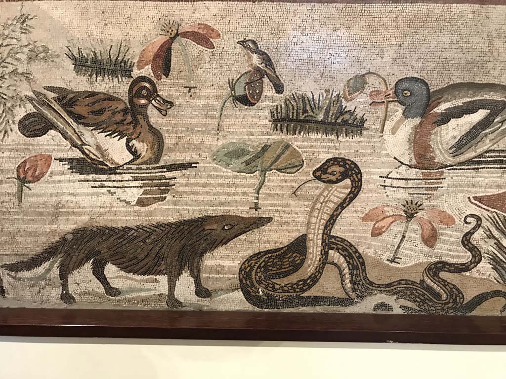 VI.12.2 Pompeii. April 2019. Detail from mosaic of hippopotamus, crocodile, Ibis and other creatures of the Nile.
Photo courtesy of Rick Bauer.