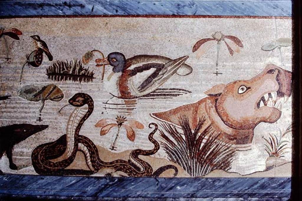 VI.12.2 Pompeii. 1968. Detail from mosaic of hippopotamus, crocodile, Ibis and other creatures of the Nile.  Photo by Stanley A. Jashemski.
Source: The Wilhelmina and Stanley A. Jashemski archive in the University of Maryland Library, Special Collections (See collection page) and made available under the Creative Commons Attribution-Non Commercial License v.4. See Licence and use details.
J68f0829

