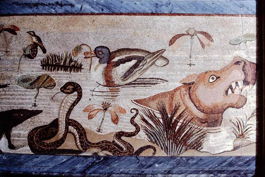 VI.12.2 Pompeii. 1968. Detail from mosaic of hippopotamus, crocodile, Ibis and other creatures of the Nile. Photo by Stanley A. Jashemski.
Source: The Wilhelmina and Stanley A. Jashemski archive in the University of Maryland Library, Special Collections (See collection page) and made available under the Creative Commons Attribution-Non Commercial License v.4. See Licence and use details.
J68f0829