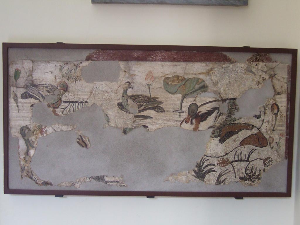 VI.12.2 Pompeii. Found in the pavement of the exedra. Mosaic of water birds.
Now in Naples Archaeological Museum. Inventory s. n.
See Real Museo Borbonico VIII, Ta XLV (1832).