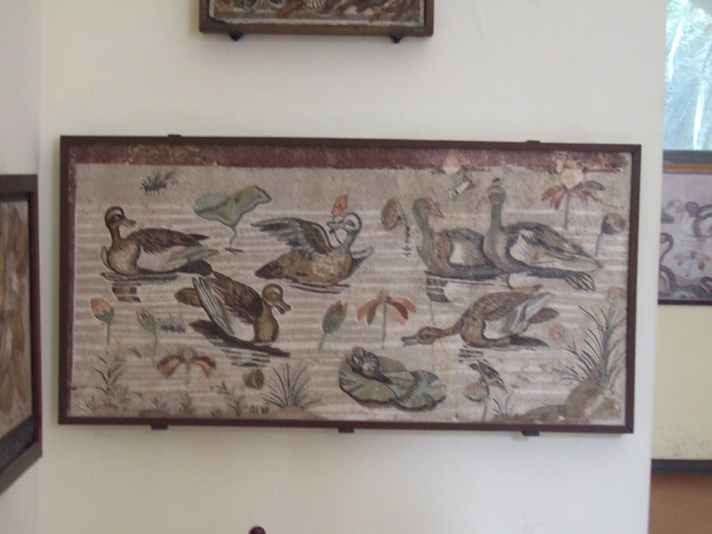 VI.12.2 Pompeii. Found in the pavement of the exedra. Mosaic of water birds.
Now in Naples Archaeological Museum. Inventory s. n.
See Real Museo Borbonico VIII (1832), Tav. XLV.