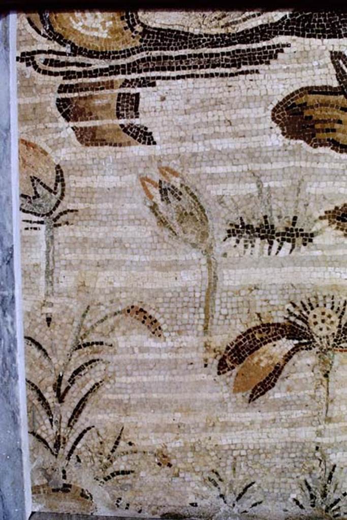 VI.12.2 Pompeii. 1968. Detail from mosaic. Photo by Stanley A. Jashemski.
Source: The Wilhelmina and Stanley A. Jashemski archive in the University of Maryland Library, Special Collections (See collection page) and made available under the Creative Commons Attribution-Non Commercial License v.4. See Licence and use details.
J68f1034