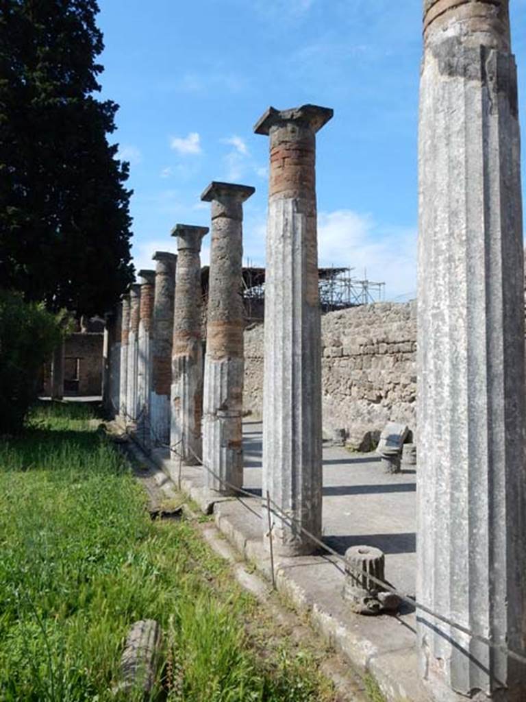 VI.12.2 Pompeii. May 2015. Looking north along east side of rear (second) peristyle.
Photo courtesy of Buzz Ferebee.