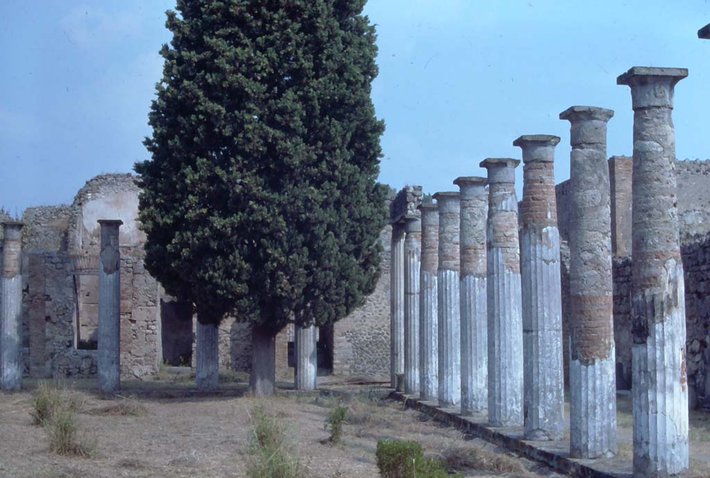 VI.12.2 Pompeii, 7th August 1976. Looking north across peristyle towards the rear.
Photo courtesy of Rick Bauer, from Dr George Fay’s slides collection.