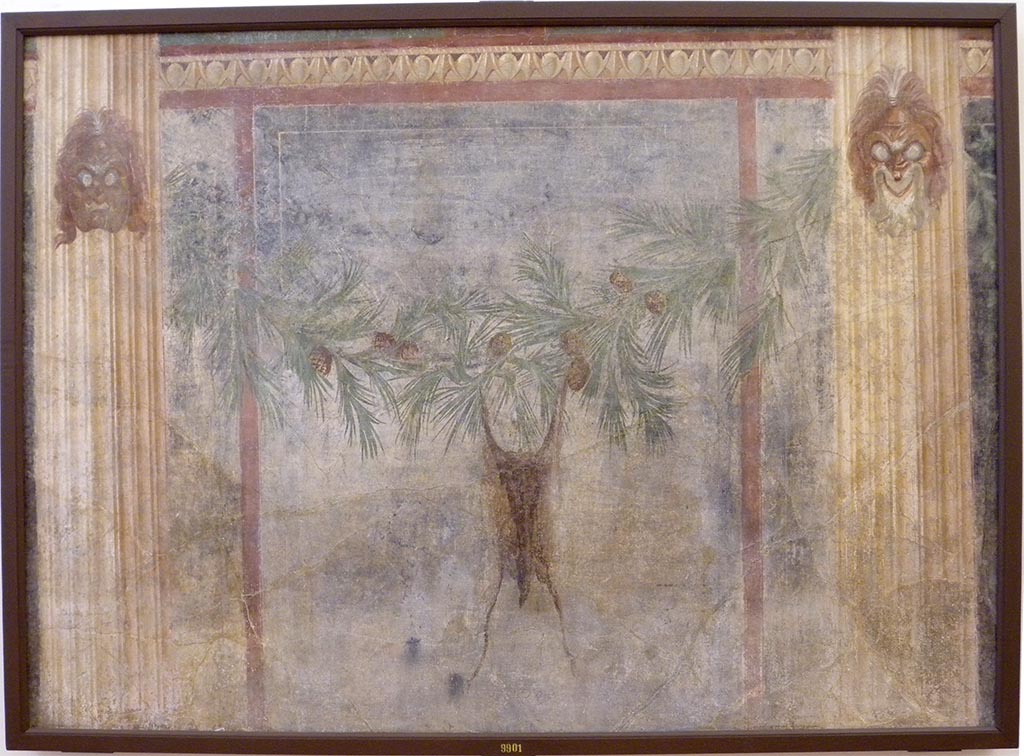 VI.14.43 Pompeii. Room 15, north wall of triclinium. Fresco with masks and pine garland from which is suspended a goat’s skin.
Now in Naples Archaeological Museum. Inventory number 9901.
According to Grasso, referring also to Mau and Bragantini, pine garlands occur rarely in Pompeii, where only 5 examples are known and this one is from VI.14.43.
See Sampaolo V. and Bragantini I., 2009. La Pittura Pompeiana. Electa: Verona, p. 199.
See Mau, A. 1882. Geschichte der Decorativen Wandmalerei in Pompeji. Berlin: Reimer, pp. 267-8.
See Carratelli, G. P., 1990-2003. Pompei: Pitture e Mosaici: Vol V. Roma: Istituto della enciclopedia italiana, p. 466 no. 74.
The card accompanying the painting in the Naples Museum in 2009 said –
“The unusual depiction of a garland of pine, from which hangs a goat skin, allows us to conclude that this fragment was taken from the triclinium of the Casa degli Scienzati…”
