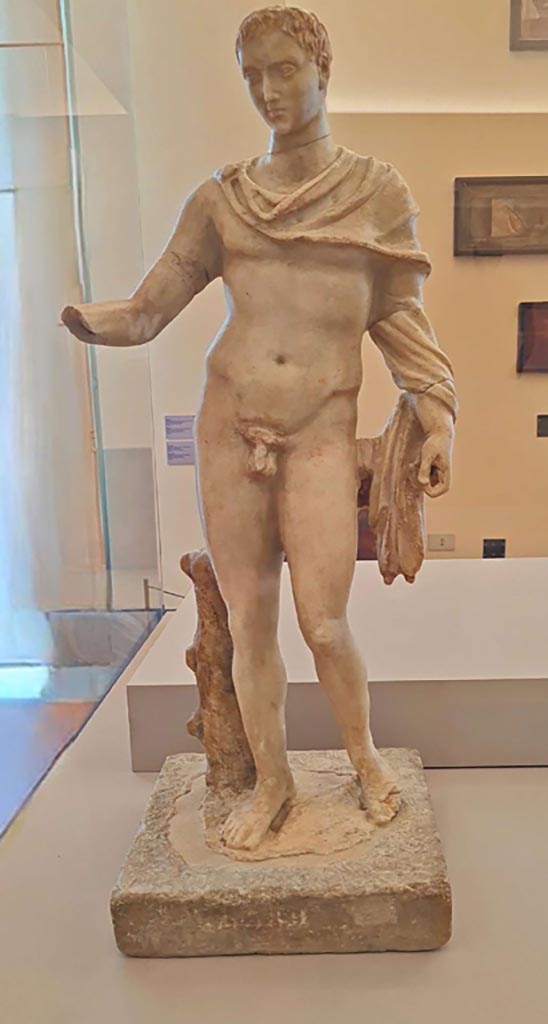 VI.14.43 Pompeii. October 2023.
Marble statue of Hellenistic ruler, inv. 126249. Photo courtesy of Giuseppe Ciaramella.
According to MANN description card below, this is the marble statue from VI.14.43, but Jashemski disagrees, see below.
On display in “L’altra MANN” exhibition, October 2023, at Naples Archaeological Museum.
