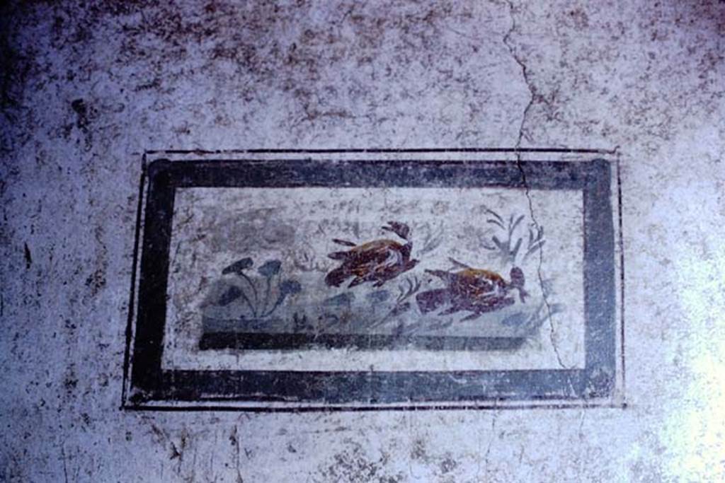 VI.15.1 Pompeii. 1966. Painted panel from small room on north side of atrium.
Photo by Stanley A. Jashemski.
Source: The Wilhelmina and Stanley A. Jashemski archive in the University of Maryland Library, Special Collections (See collection page) and made available under the Creative Commons Attribution-Non Commercial License v.4. See Licence and use details. J66f0306
According to Wilhelmina’s notes, this came from the middle panel of the west wall.