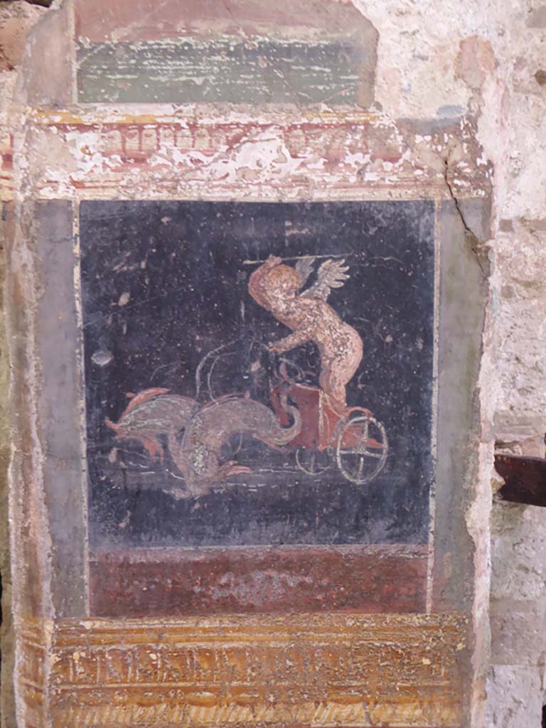VI.15.1 Pompeii. January 2017.
Detail of painted panel with cupid on chariot pulled by two dolphins, on south wall of atrium between oecus and doorway leading to VI.15.27.
Foto Annette Haug, ERC Grant 681269 DÉCOR.