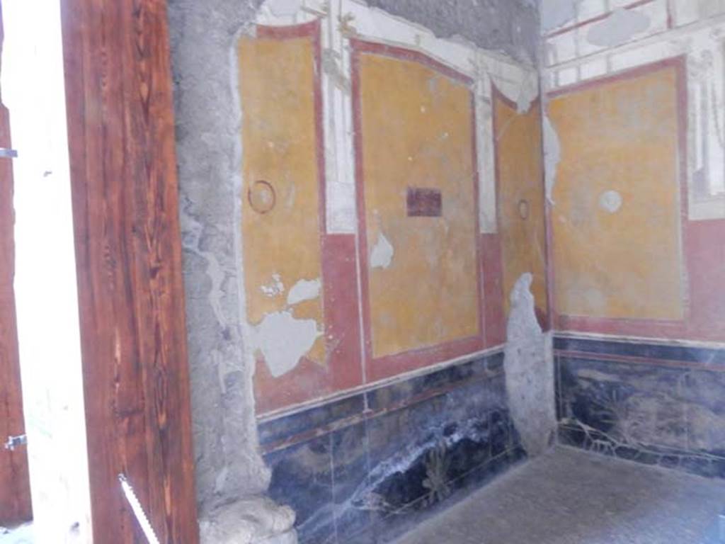 VI.15.1 Pompeii. May 2017. East wall of south ala. The black zoccolo (lower part of wall) was decorated with panels containing painted plants, separated by narrow compartments . Photo courtesy of Buzz Ferebee.