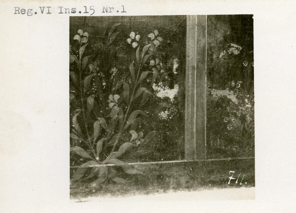 VI.15.1 Pompeii. Pre-1937-39. Detail of zoccolo with painted plants, perhaps from west wall of peristyle ?
Photo courtesy of American Academy in Rome, Photographic Archive. Warsher collection no. 710.