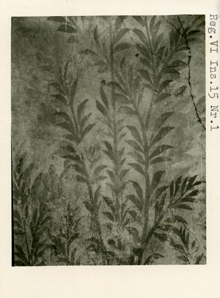 VI.15.1 Pompeii. Pre-1937-39.
Painted panel on zoccolo of west wall of peristyle, with detail of painted oleander bush.
Photo courtesy of American Academy in Rome, Photographic Archive. Warsher collection no. 688.