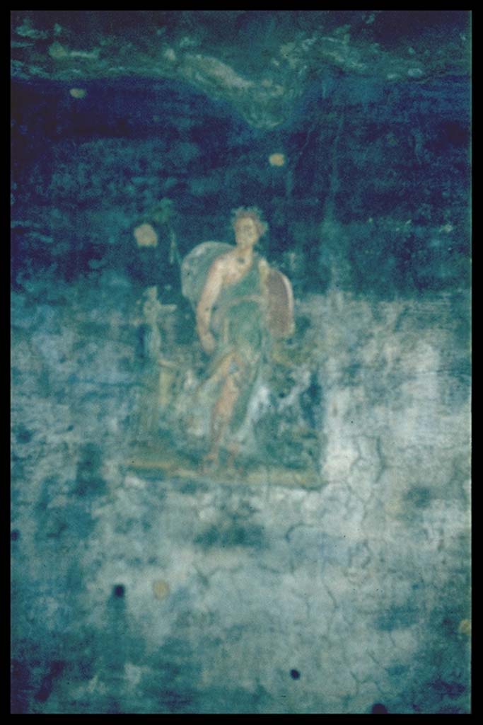 VI.15.1 Pompeii. Painting of figure from west wall of peristyle.
Photographed 1970-79 by Günther Einhorn, picture courtesy of his son Ralf Einhorn.
According to Kuivalainen –
this scene shows a nocturnal ritual by a Maenad in front of a bearded fully robed very small statue of Bacchus.
See Kuivalainen, I., 2021. The Portrayal of Pompeian Bacchus. Commentationes Humanarum Litterarum 140. Helsinki: Finnish Society of Sciences and Letters, (p.81, A5).