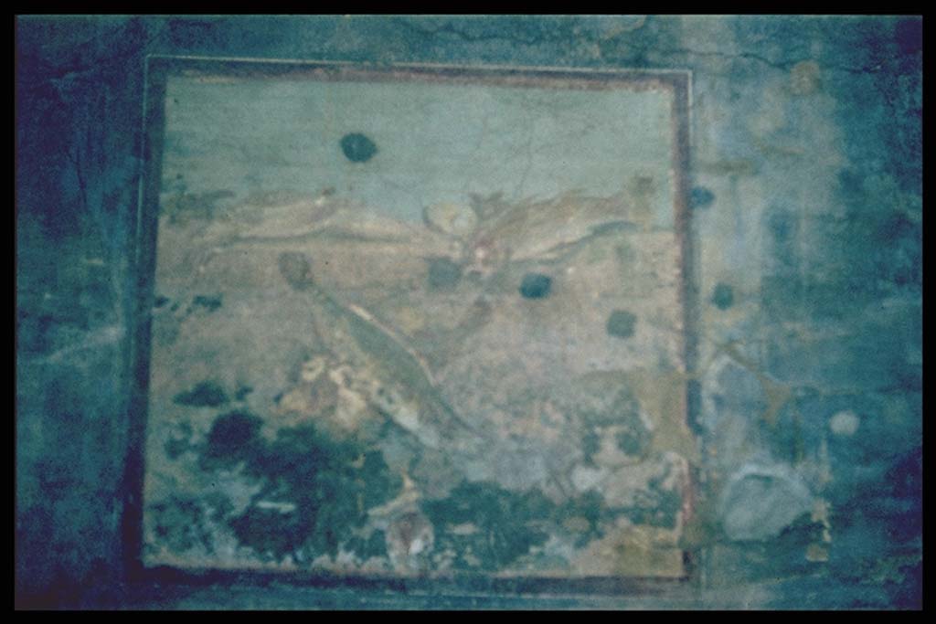 VI.15.1 Pompeii. Painting of fishes from west wall of peristyle.
Photographed 1970-79 by Günther Einhorn, picture courtesy of his son Ralf Einhorn.