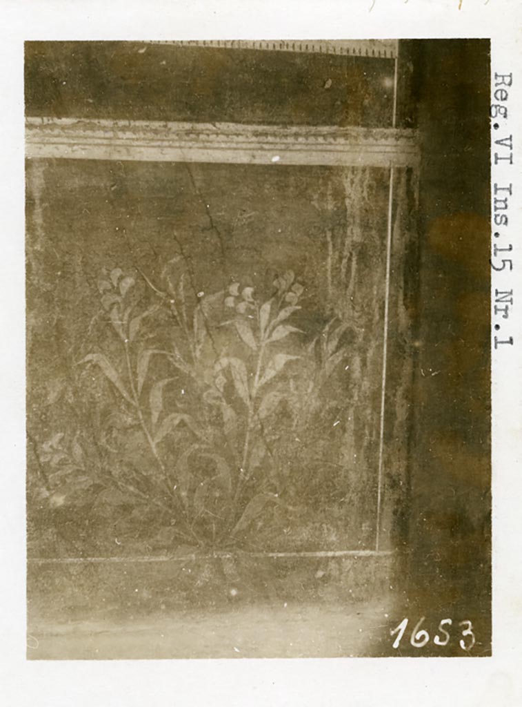 VI.15.1 Pompeii. Pre-1937-39. Detail of painted zoccolo with plant, perhaps from west wall at north end.
Photo courtesy of American Academy in Rome, Photographic Archive. Warsher collection no. 1653.