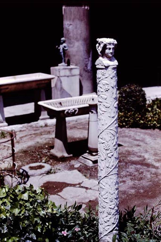 VI.15.1 Pompeii. 1977. Looking north-east past herm with foliage pattern. Photo by Stanley A. Jashemski.
Source: The Wilhelmina and Stanley A. Jashemski archive in the University of Maryland Library, Special Collections (See collection page) and made available under the Creative Commons Attribution-Non-Commercial License v.4. See Licence and use details.
J77f0556