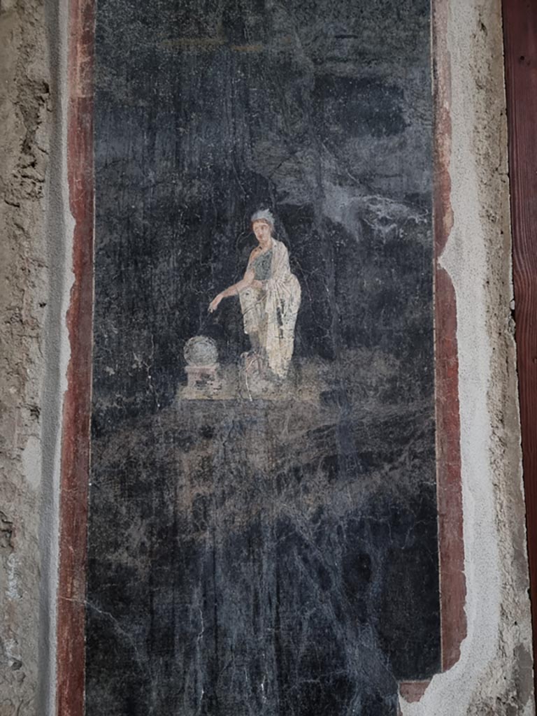 VI.15.1 Pompeii. December 2023.
Painted panel from north-east corner of east portico, painting from between doorway to exedra and window to ala.
Photo courtesy of Miriam Colomer.