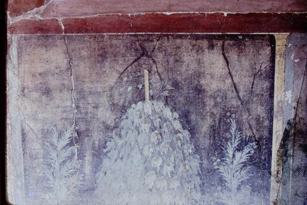VI.15.1 Pompeii, 1973. Painted wall decoration from zoccolo of peristyle. Photo by Stanley A. Jashemski.
Source: The Wilhelmina and Stanley A. Jashemski archive in the University of Maryland Library, Special Collections (See collection page) and made available under the Creative Commons Attribution-Non-Commercial License v.4. See Licence and use details.
J73f0243