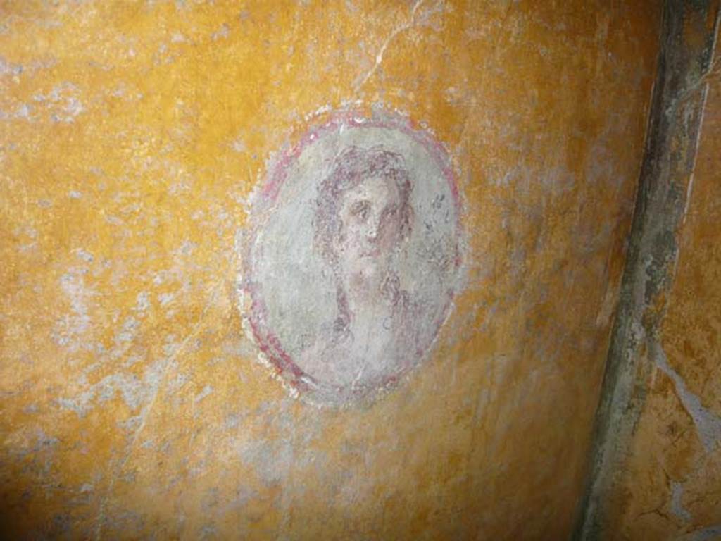 VI.16.7 Pompeii. June 2103. Room R, painted medallion on south end of east wall, after restoration.
Photo courtesy of Buzz Ferebee.