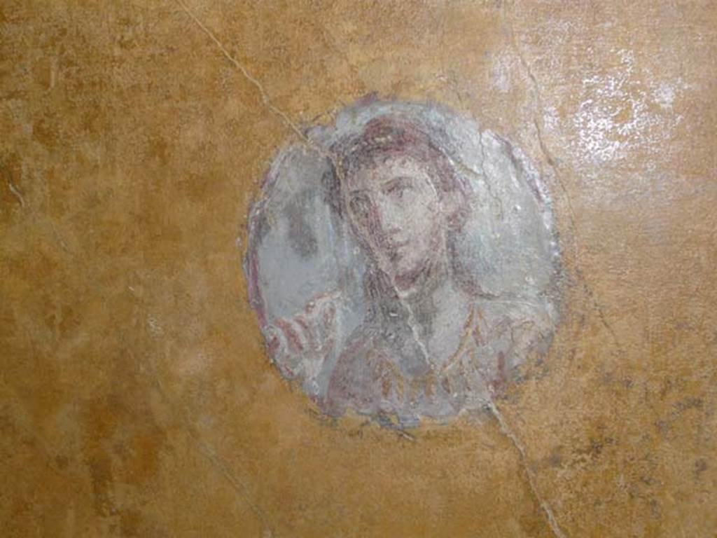 VI.16.7 Pompeii. June 2013.
Room R, painted medallion on east end of north wall, after restoration.
Photo courtesy of Buzz Ferebee.