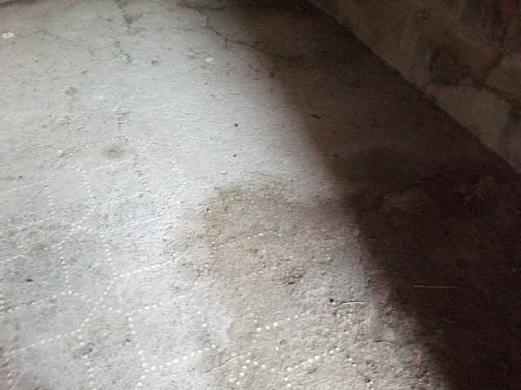 VI.16.7 Pompeii. May 2010. Room M, floor.