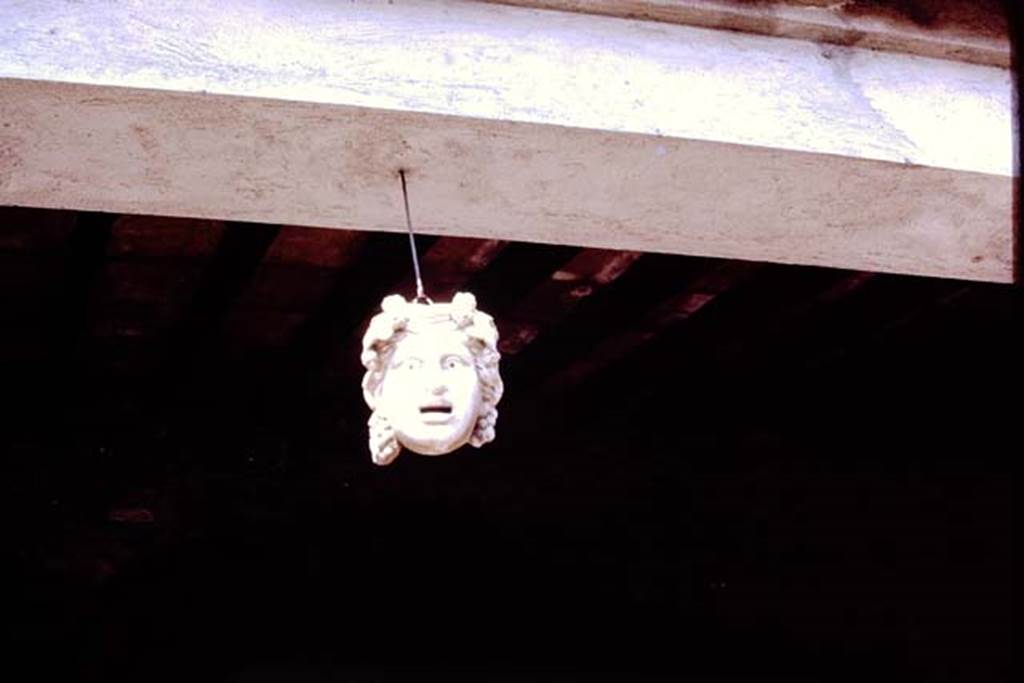 VI.16.7 Pompeii. 1977. Marble mask of a maenad hanging between the columns of the peristyle in the north-west corner, Photo by Stanley A. Jashemski.
See Jashemski, W. F., 1993. The Gardens of Pompeii, Volume II: Appendices. New York: Caratzas. (p.162-3)
Source: The Wilhelmina and Stanley A. Jashemski archive in the University of Maryland Library, Special Collections (See collection page) and made available under the Creative Commons Attribution-Non Commercial License v.4. See Licence and use details. J77f0562