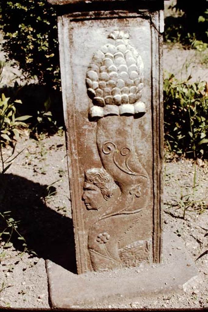 VI.16.7 Pompeii, 1968. Pedestal beneath marble relief in peristyle garden. Photo by Stanley A. Jashemski.
Source: The Wilhelmina and Stanley A. Jashemski archive in the University of Maryland Library, Special Collections (See collection page) and made available under the Creative Commons Attribution-Non Commercial License v.4. See Licence and use details. J68f0195