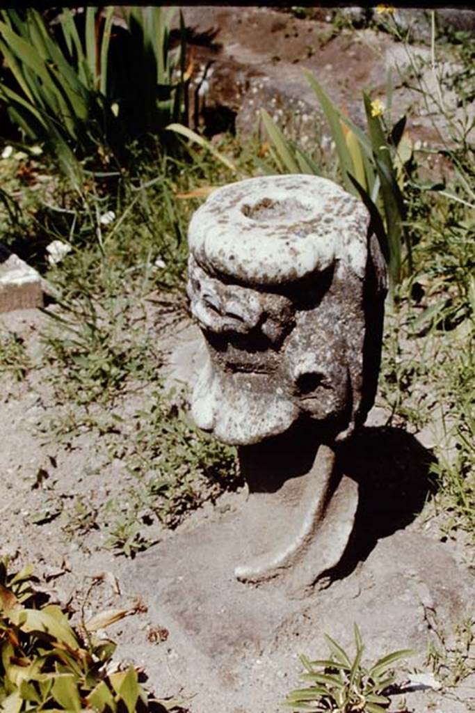 VI.16.7 Pompeii, 1968. Found in the peristyle garden. Photo by Stanley A. Jashemski.
Source: The Wilhelmina and Stanley A. Jashemski archive in the University of Maryland Library, Special Collections (See collection page) and made available under the Creative Commons Attribution-Non Commercial License v.4. See Licence and use details. J68f0204