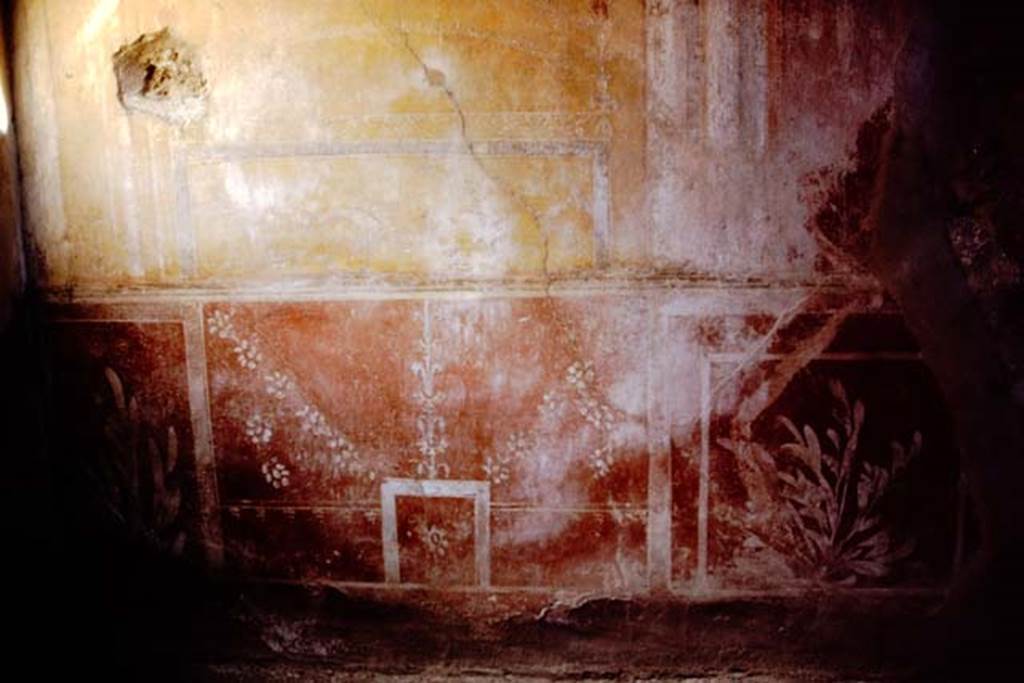 VI.16.7 Pompeii. 1968. Room N, painted plant decoration on zoccolo at east end of south wall. Photo by Stanley A. Jashemski.
Source: The Wilhelmina and Stanley A. Jashemski archive in the University of Maryland Library, Special Collections (See collection page) and made available under the Creative Commons Attribution-Non Commercial License v.4. See Licence and use details.
J68f0252