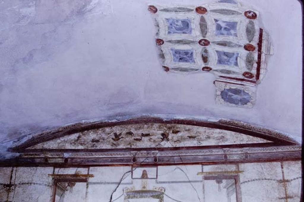 VI.16.7 Pompeii, 1968. Room Q, upper west wall. Photo by Stanley A. Jashemski.
Source: The Wilhelmina and Stanley A. Jashemski archive in the University of Maryland Library, Special Collections (See collection page) and made available under the Creative Commons Attribution-Non Commercial License v.4. See Licence and use details.
J68f0244