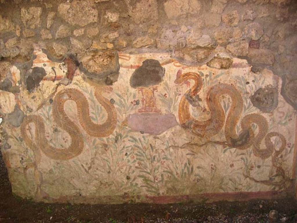 VI.16.40 Pompeii. July 2008. Room F, lararium on west wall. Photo courtesy of Barry Hobson.
According to Boyce, in the room F reached by the corridor (E) leading from the bar-room, was a lararium painting. It was on a large panel on the west wall bordered with broad stripes, yellow at the sides, red at the top. Within were painted two serpents confronted at a cylindrical altar. The serpents were of a brownish colour and each had a red crest and beard, both larger on the one on the right. The altar was tiny in comparison with the serpents, and was painted in imitation of red and yellow marble. On the top of the altar were two eggs and a pine cone. Below the painted altar, a tile was embedded in the wall to hold the offerings. The background was profusely adorned with green plants and red flowers. Across the top of the panel was stretched a triple festoon, upon the middle of which perched a bird.
See Notizie degli Scavi di Antichità, 1908, 370.
See Boyce G. K., 1937. Corpus of the Lararia of Pompeii. Rome: MAAR 14. (p.59, no.230, and Pl.27,1)
See Fröhlich, T., 1991. Lararien und Fassadenbilder in den Vesuvstädten. Mainz: von Zabern. (L77, Picture 9,2 from the west and north walls)