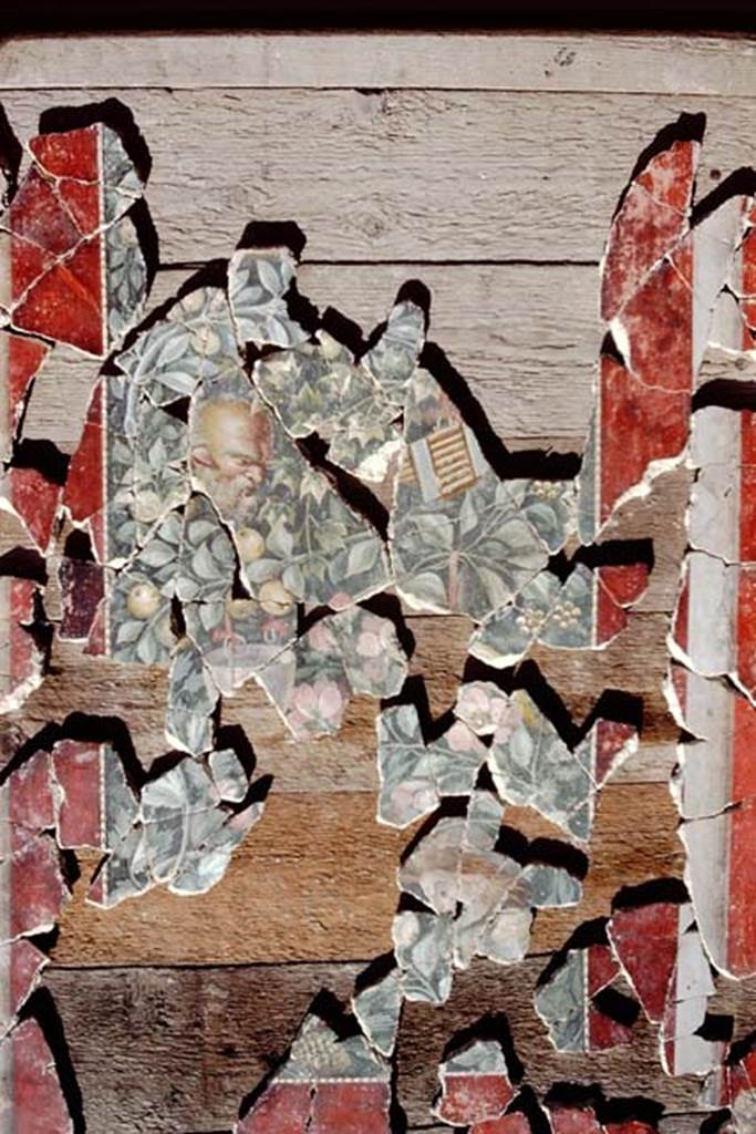 VI.17.42 Pompeii. 1984. Detail of fragments of III style decoration found in a garden channel in 1983, and being reconstructed.
Source: The Wilhelmina and Stanley A. Jashemski archive in the University of Maryland Library, Special Collections (See collection page) and made available under the Creative Commons Attribution-Non Commercial License v.4. See Licence and use details.
J84f0102