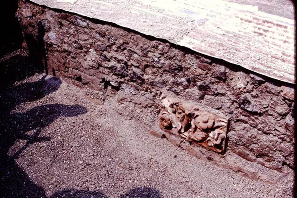 VI.17.42, Pompeii. 1983.  Terracotta plaque found embedded against a wall. Photo by Sally Gladden.    
Source: The Wilhelmina and Stanley A. Jashemski archive in the University of Maryland Library, Special Collections (See collection page) and made available under the Creative Commons Attribution-Non Commercial License v.4. See Licence and use details. J80f0590
