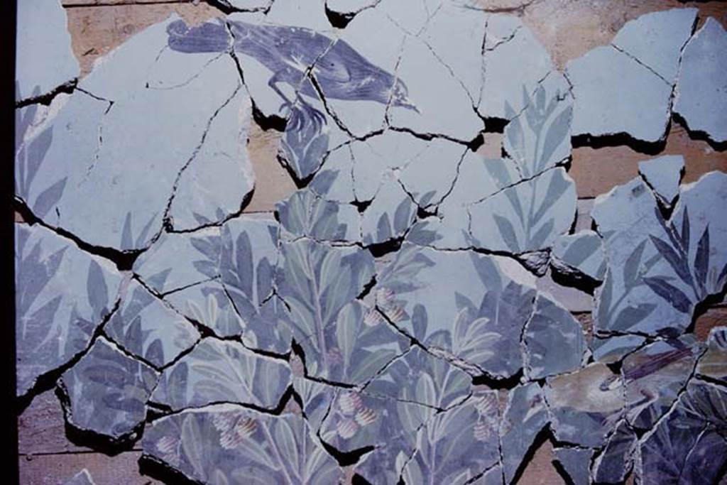 VI.17.42 Pompeii. 1980. Oecus 32. Part of garden fresco from upper part of east wall, during its reconstruction. Photo by Stanley A. Jashemski.
Source: The Wilhelmina and Stanley A. Jashemski archive in the University of Maryland Library, Special Collections (See collection page) and made available under the Creative Commons Attribution-Non Commercial License v.4. See Licence and use details.
J80f0194