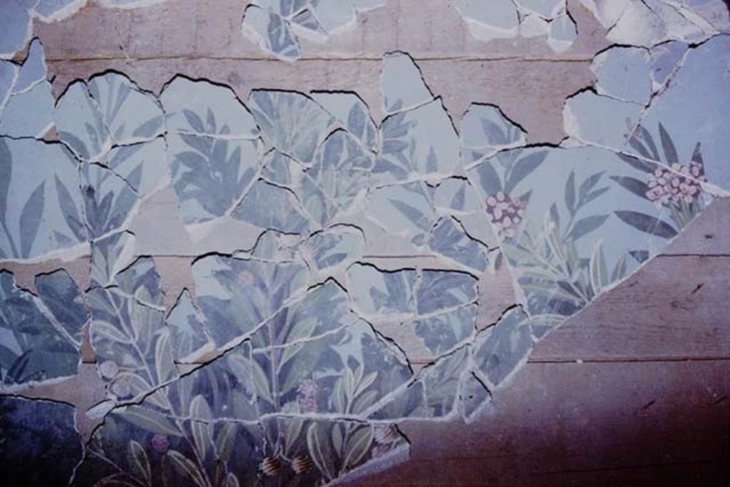 VI.17.42 Pompeii. 1980. Oecus 32. Part of garden fresco from upper part of east wall, during its reconstruction. Photo by Stanley A. Jashemski.
Source: The Wilhelmina and Stanley A. Jashemski archive in the University of Maryland Library, Special Collections (See collection page) and made available under the Creative Commons Attribution-Non Commercial License v.4. See Licence and use details. J80f0195